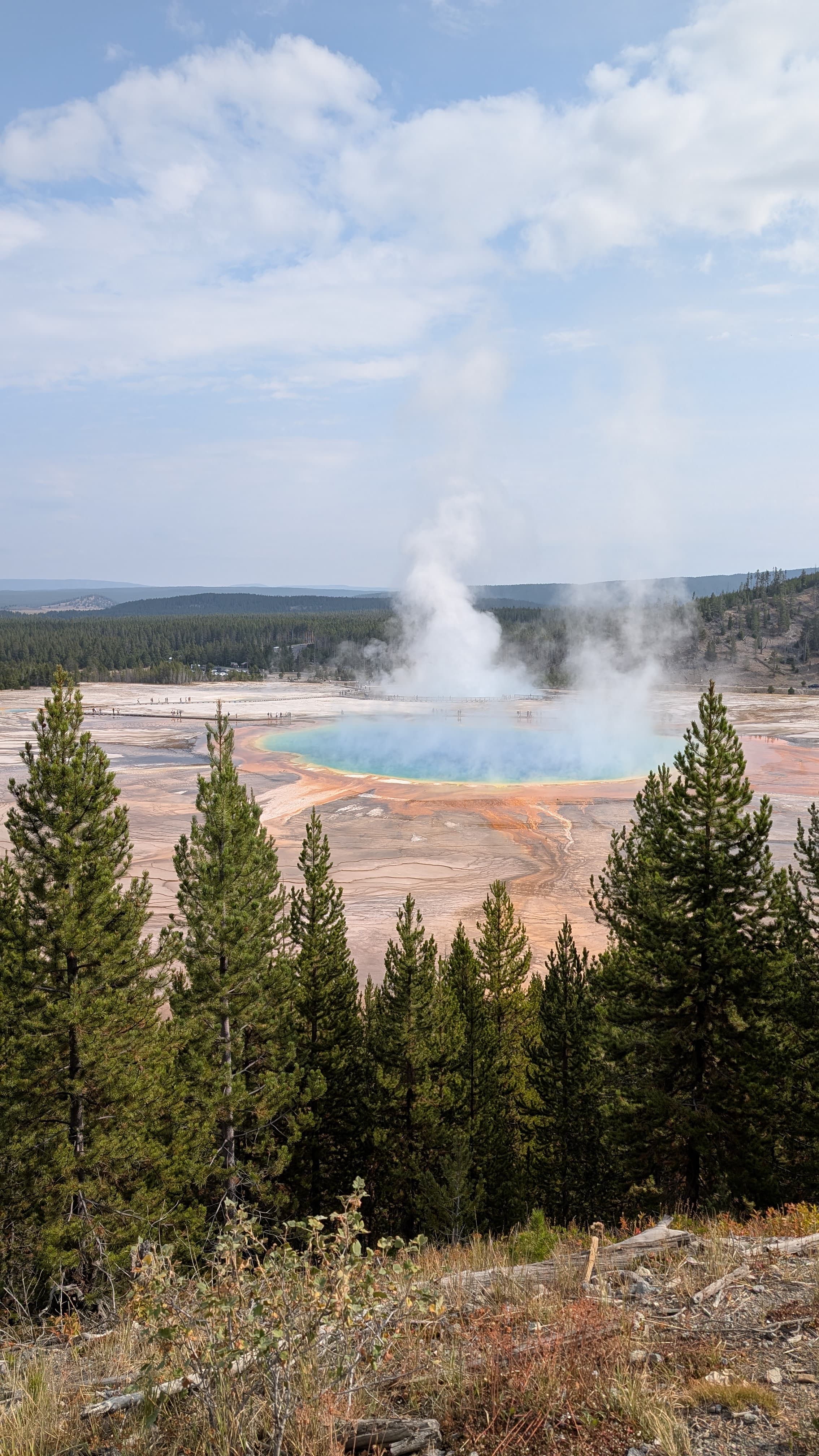 Yellowstone 3