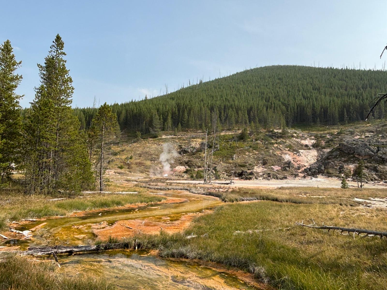 Yellowstone 6