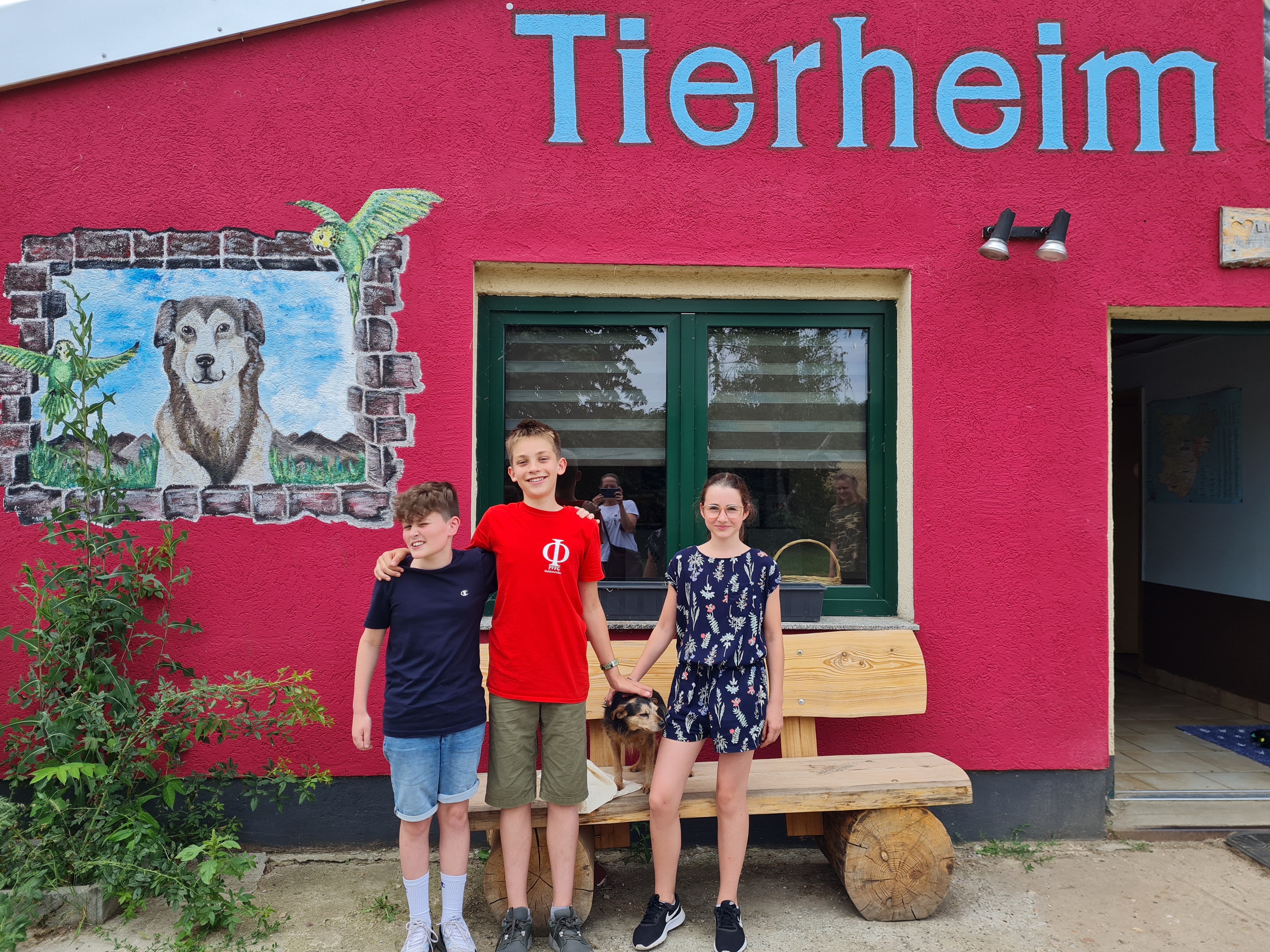 tierheim